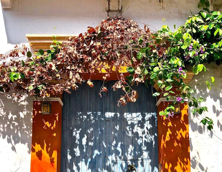 img-lateral-acerca-04