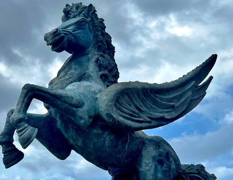 img-lateral-acerca-10